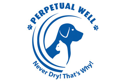 Perpetual Well Logo