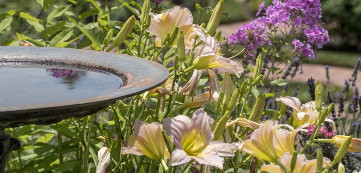 Landscaping Marketing And SEO  Image of Landscape company seo e1567018645288